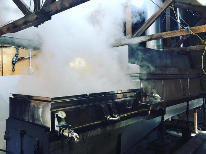  McLean Berry Farm is in the final days of preparing for Maplefest, which will run for the next three weekends in March. (Photo: McLean Berry Farm / Facebook)