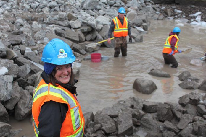 Otonabee Conservation staff and volunteers (Meredith Carter, Dave Wood, and Jasmine Gibson) capturing fish from the Millbrook Dam spillway pool for transfer into Baxter Creek. Almost 800 fish were captured and released, along with more than 200 crayfish and a few frogs. (Photo courtesy of Otonabee Conservation)