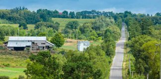 The Trees for Rural Roads program offers trees, free of charge to Clarington and Port Hope residents, to be planted on private land along municipal roads.