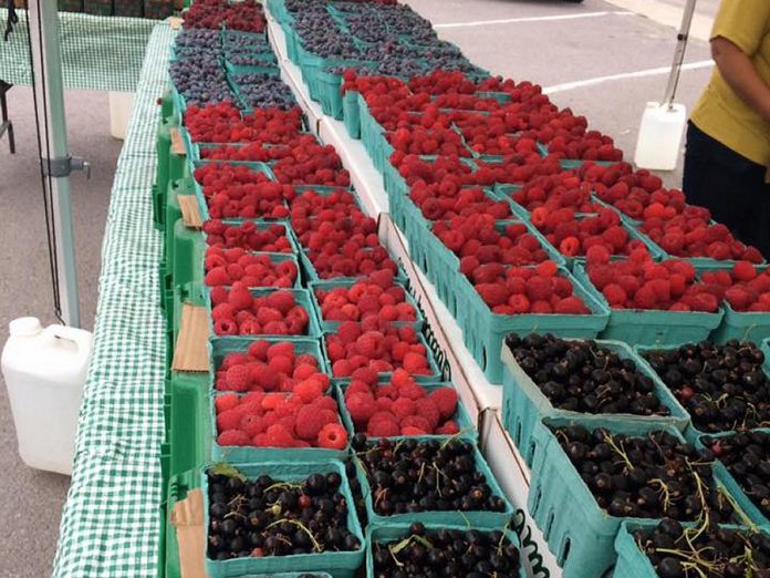 The Peterborough Downtown Farmers' Market is moving down the street for the season. (Photo: Jillian Bishop)