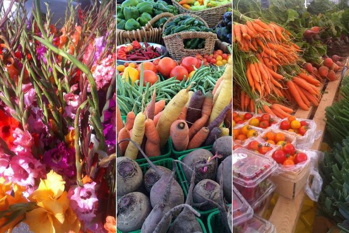 The market will become a European-style, pedestrian-friendly street market while the Louis Street parking lot is transformed into a urban park. (Photos: Jillian Bishop)