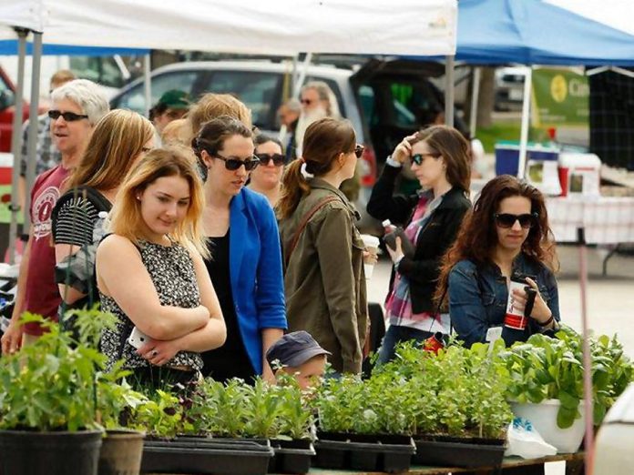 The Peterborough Downtown Farmers' Market opens for the 2018 season on Wednesday, May 2. To accommodate construction of the new urban park at Louis Street, this year's market will be located on Charlotte St. between George and Louis, which will be closed to traffic while the market runs from 8:30 a.m. until 2 p.m. every Wednesday. (Photo courtesy of Peterborough Downtown Farmers' Market)