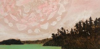 A detail of 'Sun Breaking Through' by artist Shannon Taylor, kawarthaNOW's arts columnist and finalist for the inaugural Peterborough Arts Awards. A series of her composite landscape pieces will be on display at Christensen Fine Art in downtown Peterborough from June 1 to 23, 2018. (Photo courtesy of the artist)