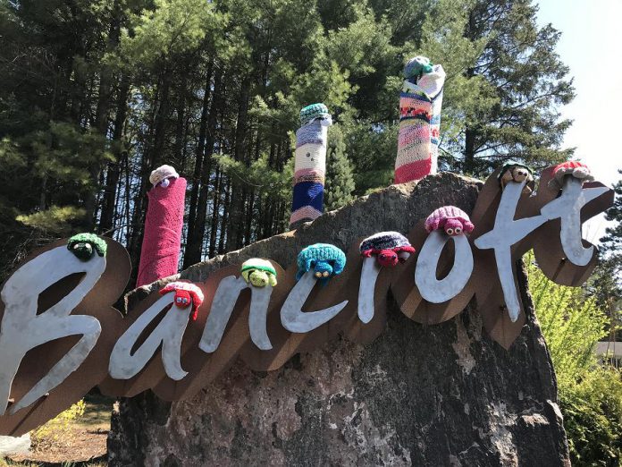 Motorists couldn't miss the hand-crafted turtles on the gateway entry signs to the Town of Bancroft. (Photo courtesy of Knittervention)