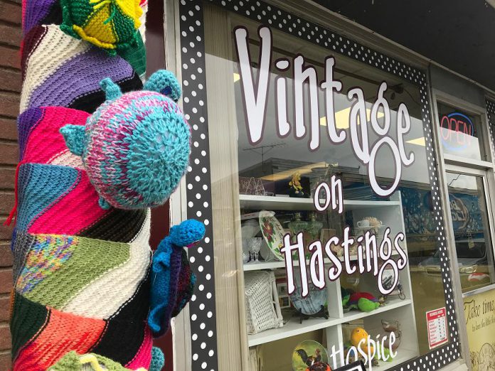 Vintage on Hastings, the social enterprise operated by Hospice North Hastings, will continue to operate as Turtle Headquarters during the 10-day display. This is where people can grab turtle information as well as details for a scavenger hunt challenge. (Photo courtesy of Knittervention)
