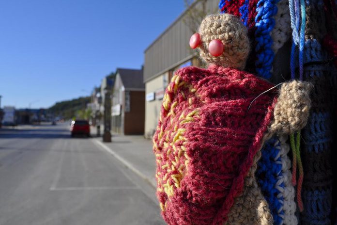 The hand-crafted turtles are intended to raise awareness among motorists to look out for turtles crossing local roads, as well as the work of Hospice North Hastings. (Photo courtesy of Knittervention)