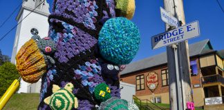 Residents and visitors to Bancroft, Ontario were greeted over the Victoria Day long weekend by knitted and crocheted turtles, hand-crafted by a volunteer group with Hospice North Hastings to raise awareness of local turtles and hospice. The turtles will remain on display until May 26. (Photo courtesy of Knittervention)