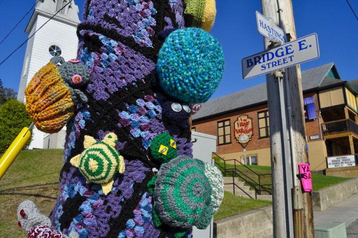 Residents and visitors to Bancroft, Ontario were greeted over the Victoria Day long weekend by knitted and crocheted turtles, hand-crafted by a volunteer group with Hospice North Hastings to raise awareness of local turtles and hospice. The turtles will remain on display until May 26. (Photo courtesy of Knittervention)