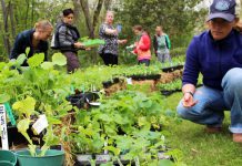 May is a month of rejuvenation, growth, and great green events! GreenUP offers many resources, products, events, and workshops in May, including the official start of the gardening season, The Annual GreenUP Ecology Park Plant Sale on May 20th from noon to 4 p.m. (Photo courtesy of GreenUP)