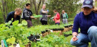 May is a month of rejuvenation, growth, and great green events! GreenUP offers many resources, products, events, and workshops in May, including the official start of the gardening season, The Annual GreenUP Ecology Park Plant Sale on May 20th from noon to 4 p.m. (Photo courtesy of GreenUP)