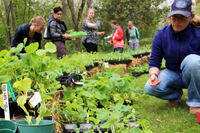 May is a month of rejuvenation, growth, and great green events! GreenUP offers many resources, products, events, and workshops in May, including the official start of the gardening season, The Annual GreenUP Ecology Park Plant Sale on May 20th from noon to 4 p.m. (Photo courtesy of GreenUP)