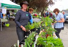 The Lakefield Horticultural Society is holding its annual plant sale, featuring high-quality and healthy potted plans grown in member gardens, on the morning of Saturday, May 19th in Lakefield. (Photo: Lakefield Horticultural Society)