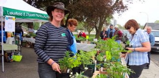 The Lakefield Horticultural Society is holding its annual plant sale, featuring high-quality and healthy potted plans grown in member gardens, on the morning of Saturday, May 19th in Lakefield. (Photo: Lakefield Horticultural Society)