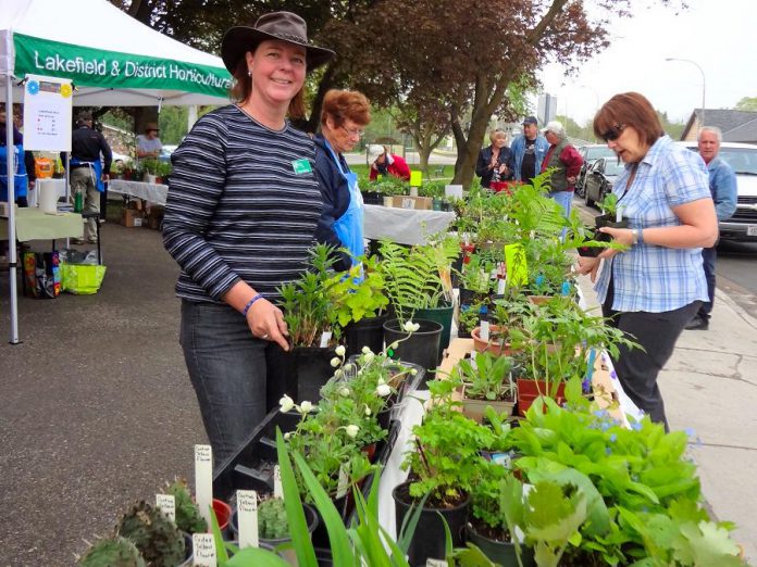The Lakefield Horticultural Society is holding its annual plant sale, featuring high-quality and healthy potted plans grown in member gardens, on the morning of Saturday, May 19th in Lakefield. (Photo: Lakefield Horticultural Society)