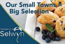 Selwyn Township has endorsed a new economic development strategy and marketing plan developed by Chamber member Strexer Harrop & Associates. Pictured is a sample of a promotional campaign built around the tag line "Our Small Towns =". (Graphic: Strexer Harrop & Associates)