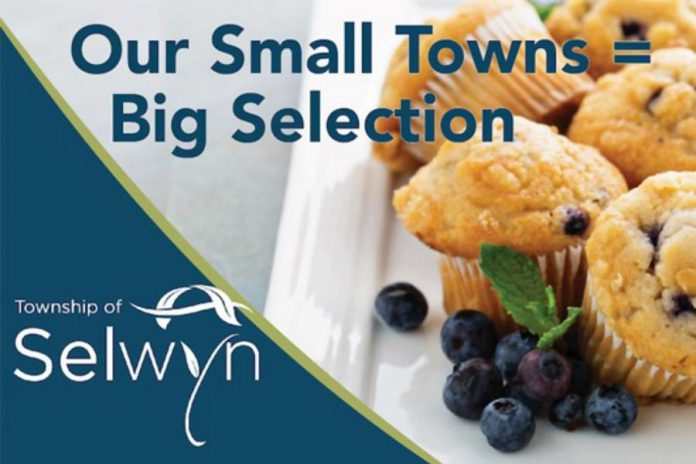 Selwyn Township has endorsed a new economic development strategy and marketing plan developed by Chamber member Strexer Harrop & Associates. Pictured is a sample of a promotional campaign built around the tag line "Our Small Towns =". (Graphic: Strexer Harrop & Associates)