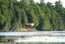 The redeveloped McLaren Marsh viewing platform at Ken Reid Conservation Area north of Lindsay is also now accessible, allowing more people to enjoy the marsh and its wildlife. (Photo courtesy of Kawartha Conservation)