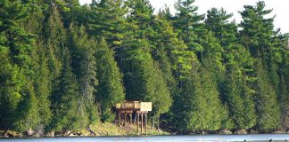 The redeveloped McLaren Marsh viewing platform at Ken Reid Conservation Area north of Lindsay is also now accessible, allowing more people to enjoy the marsh and its wildlife. (Photo courtesy of Kawartha Conservation)