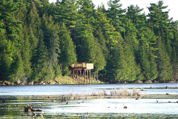The redeveloped McLaren Marsh viewing platform at Ken Reid Conservation Area north of Lindsay is also now accessible, allowing more people to enjoy the marsh and its wildlife. (Photo courtesy of Kawartha Conservation)