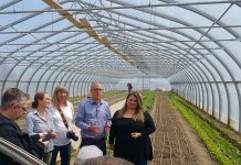 Representatives from the Peterborough Regional Farmers Network and several local farmers at Circle Organic Farmi in Millbrook on May 11, 2018 where they announced the creation of a new Peterborough farmers' market. (Photo courtesy of Peterborough Regional Farmers Network)