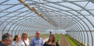 Representatives from the Peterborough Regional Farmers Network and several local farmers at Circle Organic Farmi in Millbrook on May 11, 2018 where they announced the creation of a new Peterborough farmers' market. (Photo courtesy of Peterborough Regional Farmers Network)