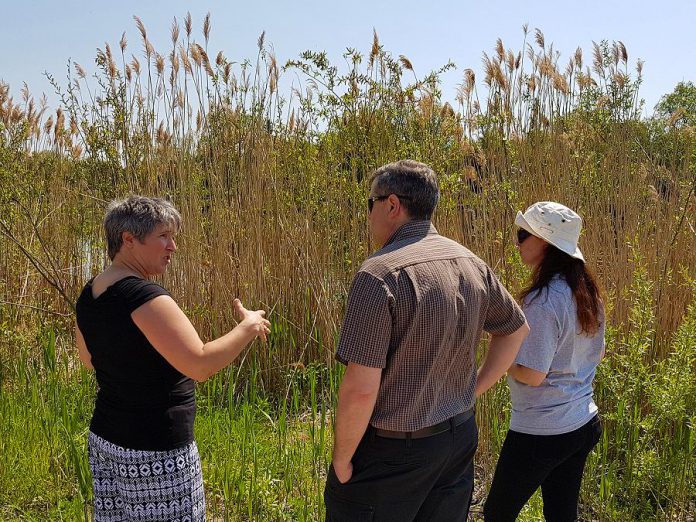 On May 24, 2018, Kristie Virgoe (left), Kawartha Conservation Director of Stewardship and Conservation Lands, and Emily Johnston (right), Kawartha Conservation Stewardship Outreach Technician, speak with Mike Goodhand, Kawartha Lakes Area Parks Supervisor, about the BlueScaping work planned for the Omemee beach. (Photo courtesy of Kawartha Conservation)