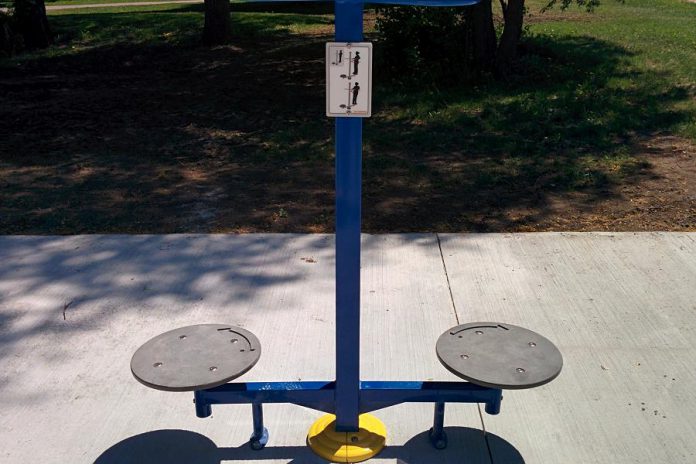 With the Twister, you step up onto the disk, hold onto the bar, and twist your torso from side to side, stetching the lower back and your oblique muscles. (Photo: Bruce Head / kawarthaNOW.com)