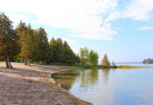 The beach at the Selwyn Beach Conservation Area. (Photo: Township of Selwyn)