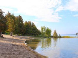 The beach at the Selwyn Beach Conservation Area. (Photo: Township of Selwyn)