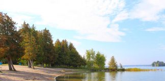 The beach at the Selwyn Beach Conservation Area. (Photo: Township of Selwyn)