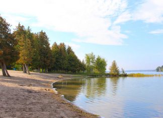 The beach at the Selwyn Beach Conservation Area. (Photo: Township of Selwyn)