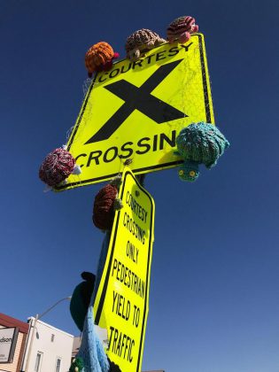 Volunteers have installed the turtles at pedestrian crossings in downtown Bancroft, reminding both residents and visitors of the ecological importance of turtles.  (Photo courtesy of Knittervention)