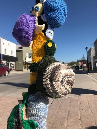 The idea of the turtle "yarn bomb" was hatched after Bancroft resident Kelly Wallace from the Think Turtle Conservation Initiative contacted Hospice North Hastings. (Photo courtesy of Knittervention)