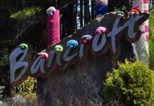 On May 17, 2018, volunteers decorated Bancroft with hand-knit and crocheted turtles as part of a "yarn bomb" campaign to raise awareness for the local turtle population. The turtles will remain on display for 10 days, including on World Turtle Day on Wednesday, May 23. Knittervention, the volunteer group that created the turtles, is encouraging residents and visitors to Bancroft to share photos of the turtles on social media. (Photo courtesy of Knittervention)