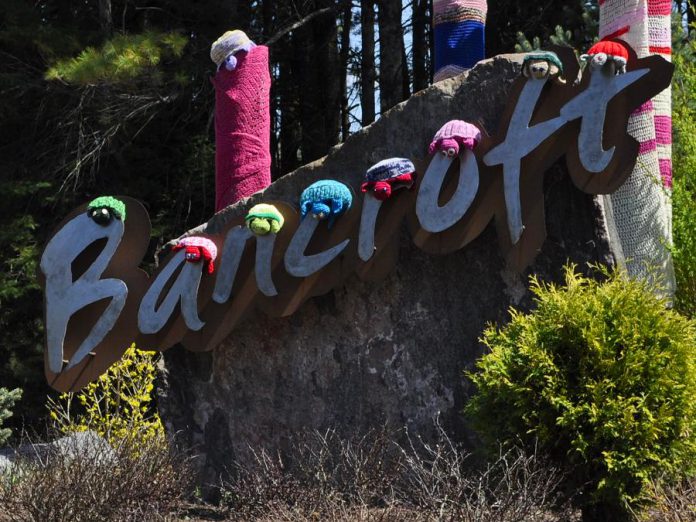 On May 17, 2018, volunteers decorated Bancroft with hand-knit and crocheted turtles as part of a "yarn bomb" campaign to raise awareness for the local turtle population. The turtles will remain on display for 10 days, including on World Turtle Day on Wednesday, May 23. Knittervention, the volunteer group that created the turtles, is encouraging residents and visitors to Bancroft to share photos of the turtles on social media. (Photo courtesy of Knittervention)