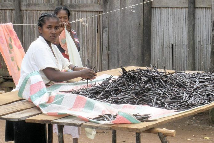 A woman sorting vanilla beans in Sambava, Madagascar. In total, it takes up to 15 months from when the orchid plant flowers to when the vanilla beans are ready for sale. The farmers themselves make pennies on the dollar for their beans.