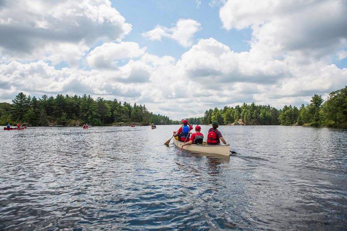 The Camp Startup participants can expect to have a lot of fun while improving their business knowledge and skills, with access to Camp Kawartha's high ropes course and archery range, canoeing on Clear Lake, and more. (Photo:  Marlon Hazlewood)