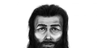 A composite sketch of a man wanted for an alleged sexual assault and robbery near Bobcaygeon on May 17, 2018. (Graphic: Ontario Provincial Police)