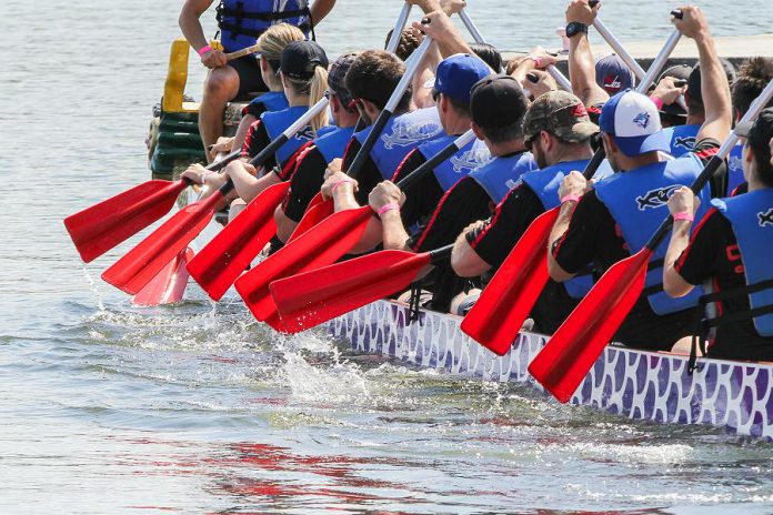 During Peterborough's Dragon Boat Festival on June 9, 2018, 68 community, junior, competitive, and breast cancer survivor teams race their Dragon Boats on Little Lake throughout the day. (Photo: Linda McIlwain / kawarthaNOW.com)