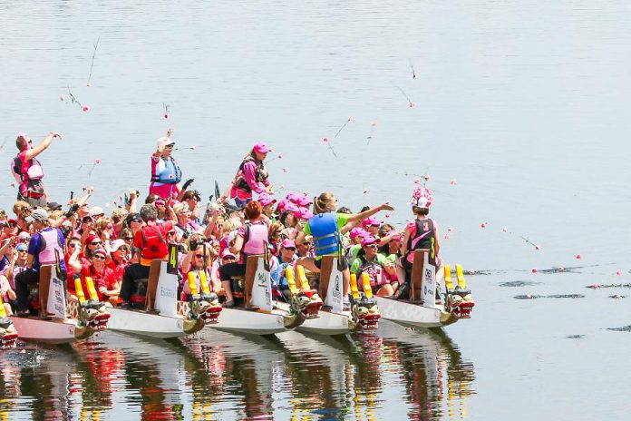 Paddlers at the 2015 Peterborough's Dragon Boat Festival toss their flowers after the Carnation Ceremony, an annual tradition to both remember and honour those who have lost their battle with breast cancer. The Carnation Ceremony originates from a 1996 dragon boat race in Vancouver. (Photo: Linda McIlwain / kawarthaNOW.com)