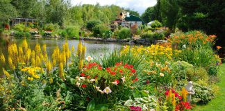 The free, self-guided Garden Route will take you to seven local gardening businesses in Peterborough and the surrounding area. You can visit speciality growers, browse garden boutiques, and see some gorgeous display gardens, like this one at Griffin's Greenhouses south of Lakefield. (Photo courtesy of Peterborough and Area Garden Route)