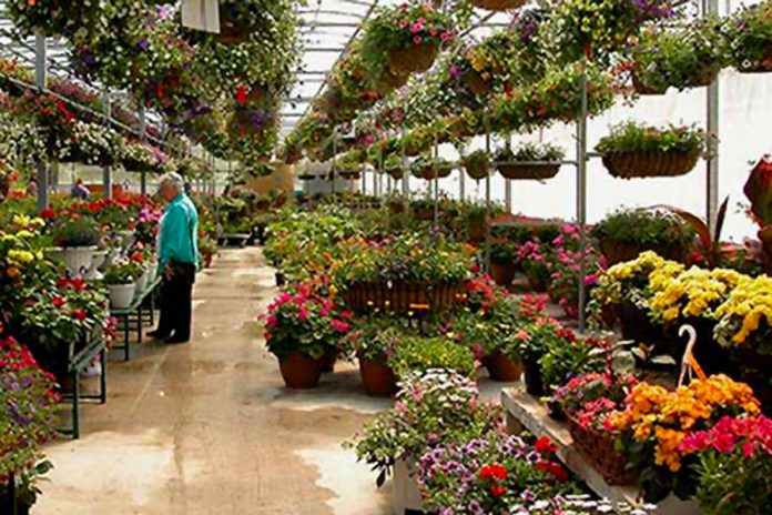 Greenhouse on the River