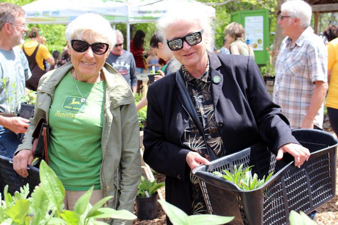 Shoppers select from a huge variety of native plants from the GreenUP Ecology Park Garden Market, on opening day this spring. The Garden Market remains open all season long Thursdays 10 a.m. to 6 p.m. and Friday through Sunday from 10 a.m. to 4 p.m. Or you can walk through and enjoy the gardens any time. (Photo: Karen Halley / GreenUP)