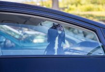 Dog left unattended in car.