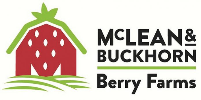 McLean and Buckhorn Berry Farms logo