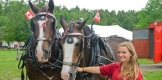 There are lots of ways to celebrate Canada Day in the Kawarthas on Sunday, July 1st, including enjoying horse-drawn wagon rides through the historic Lang Pioneer Village Museum in Keene during the annual Historic Dominion Day. (Photo: Lang Pioneer Village)