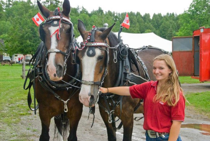There are lots of ways to celebrate Canada Day in the Kawarthas on Sunday, July 1st, including enjoying horse-drawn wagon rides through the historic Lang Pioneer Village Museum in Keene during the annual Historic Dominion Day. (Photo: Lang Pioneer Village)
