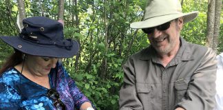 Donors and volunteers from Kawartha Land Trust and the Ontario Turtle Conservation Centre came together on June 15, 2018 to release more than two dozen snappping turtle hatchlings at the Jeffrey-Cowan Forest Preserve along Stoney Lake Trails in North Kawartha. The hatchlings came from eggs recovered from an injured snapping turtle brought to the centre last fall. (Photo: Kawartha Land Trust)