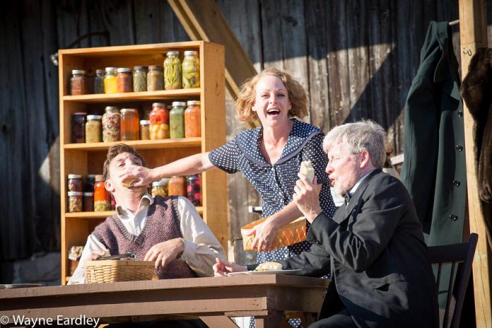 Mark Kreder as Hugh Cameron, Sarah McNeilly as Alice Cameron, and Robert Winslow as Dr. Logie.  (Photo: Wayne Eardley / Brookside Studio)