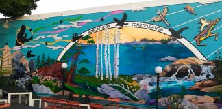 The "Bobcaygeon Constellation" mural by Fenelon Falls artist Penni Holdham that now adorns the wall of Foodland Bobcayehon facing the patio of Kawartha Coffee Co. (Photo: Kawartha Coffee Co. / Facebook)